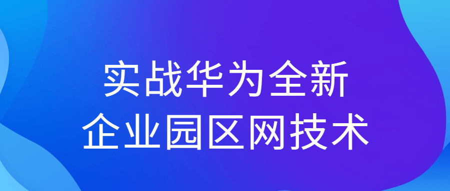 实战华为全新企业园区网技术